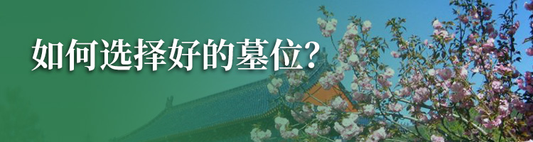 官厅中华永久